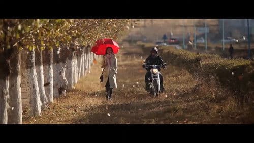 Хязгааргүй Bild 2