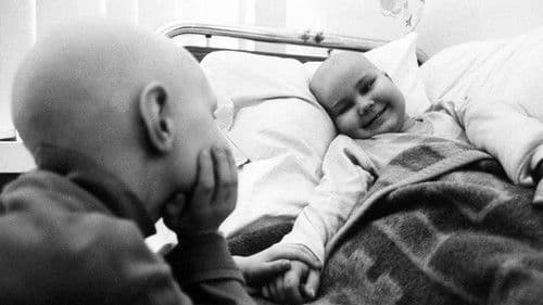 Pries parskrendant i zeme Bild 1