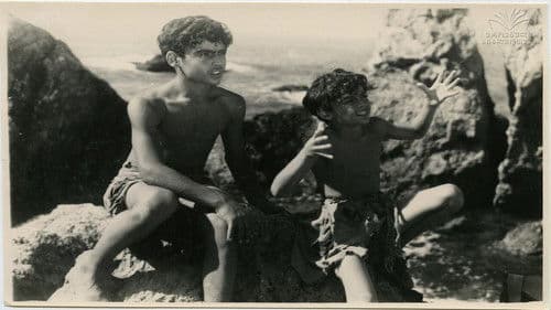 ზვიგენის კბილი Bild 2