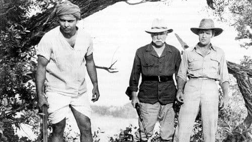 Bwana, der Teufel Bild 1