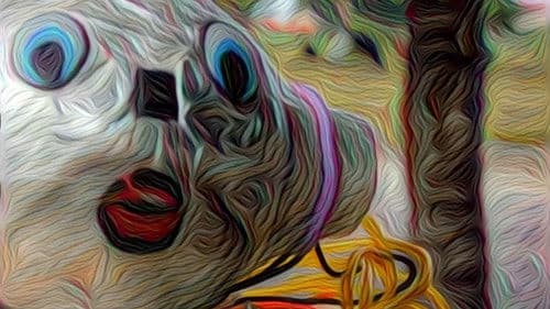 Rodson ou (Onde o Sol Não Tem Dó) Bild 1