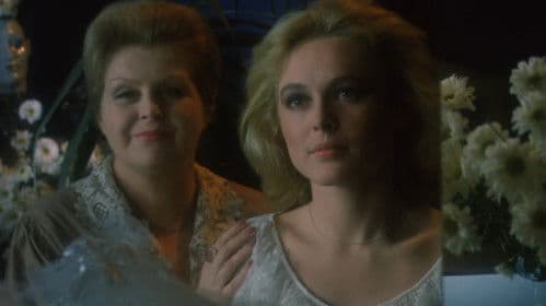 Lubię nietoperze Bild 3