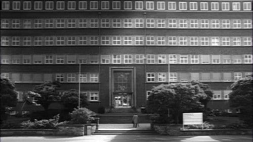 Kopf in den Wolken Bild 1