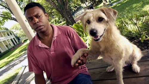 Lenny, der Wunderhund Bild 2