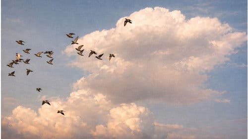 The Sky is Beautiful Bild 2