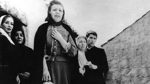 O Crime de Aldeia Velha Bild 3