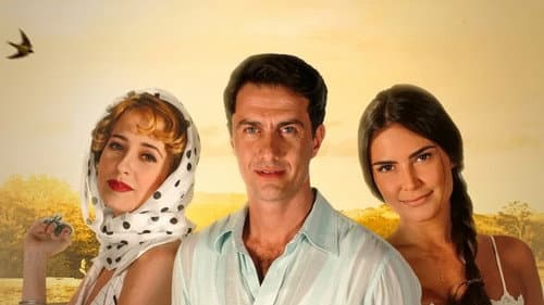 Cidadão Brasileiro Bild 2