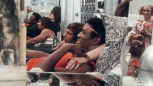 Scarecrow in a Garden of Cucumbers Bild 1