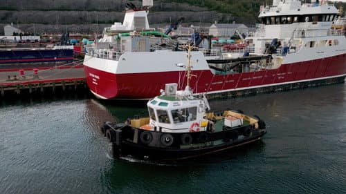 East Harbour Heroes Bild 2