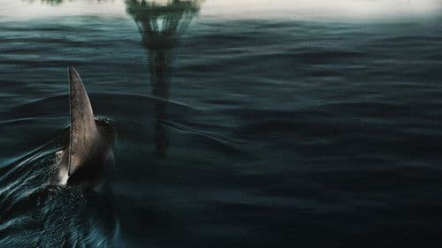 Im Wasser der Seine Bild 3