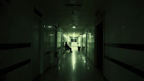 شەوی ئێشکگرێک Bild 2