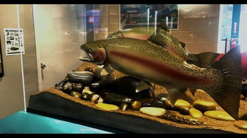 The Snake and the Whale Bild 2