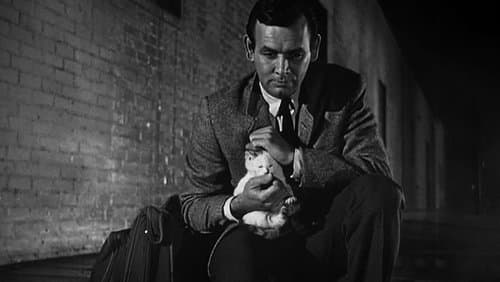 Auf der Flucht Bild 6