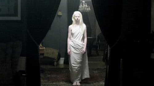 Nachtschatten Bild 1