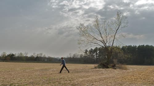 Son of the Sunshine Bild 1