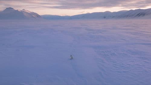 Die Abenteuer von Kina & Yuk Bild 6