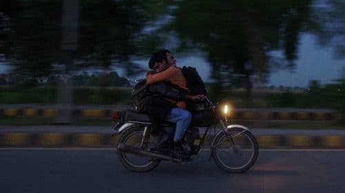 Cats Can Teach You To Die Alone Bild 1