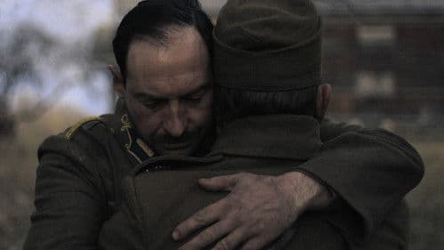 Das Licht in den Birkenwäldern Bild 5