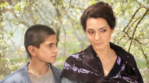 Qırmızı bağ Bild 1