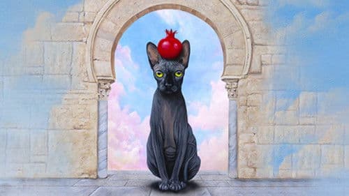 Roman Frayssinet : Ô dedans Bild 2