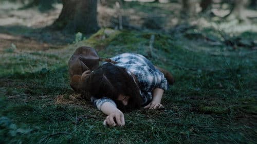 Ni a Sol Ni a Sombra Bild 1