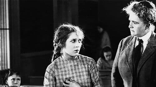 Daddy-Long-Legs Bild 8