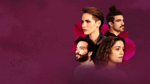 Todas as Flores Bild 8