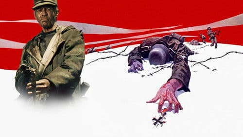 Steiner - Das Eiserne Kreuz Bild 7