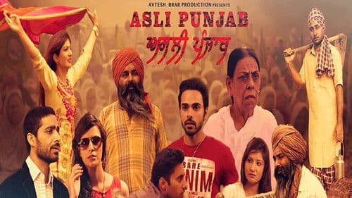 Asli Punjab Bild 1