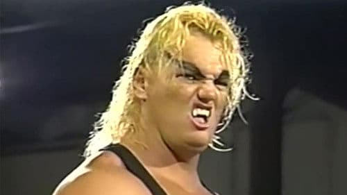 ECW Barbed Wire, Hoodies and Chokeslams Bild 1