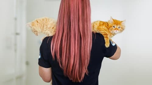 SPCA Rescue Bild 1