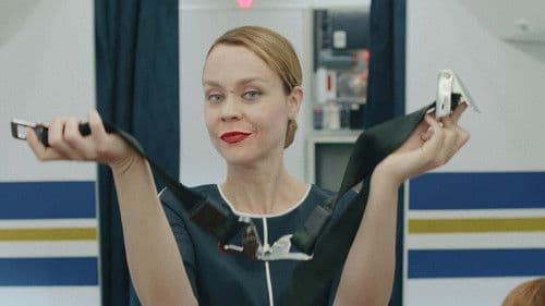 AirHostess-737 Bild 1