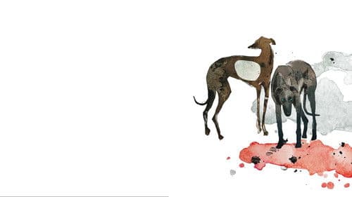 Hounds of Love Bild 8