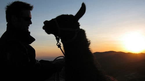 Nick Baker's Weird Creatures Bild 2