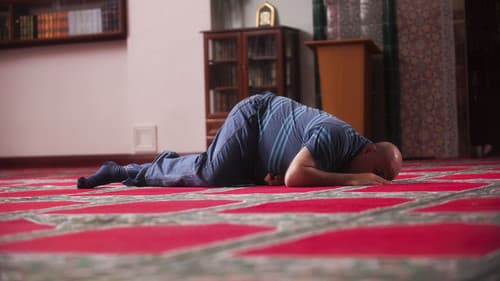 Alles Koscher! Bild 6