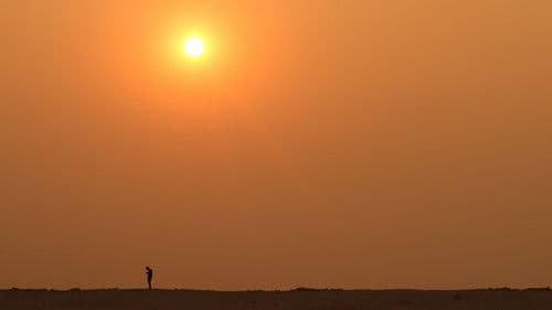 సితార Bild 1