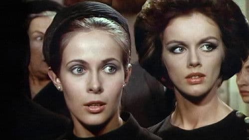 Der Rächer aus dem Sarg Bild 2