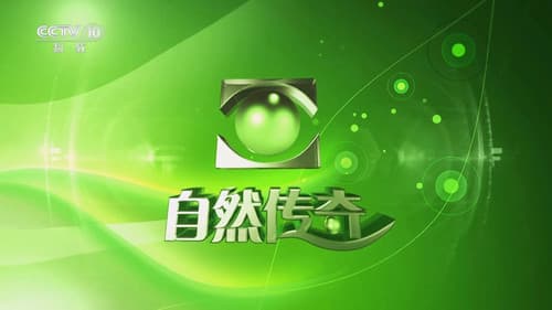 自然传奇 Bild 1