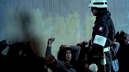 Sweet Country Bild 1