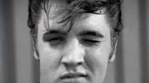 EPiC: Elvis Presley in Concert Bild 8
