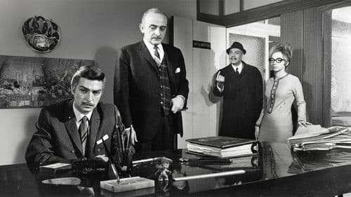 Yaşlı Gözler Bild 2