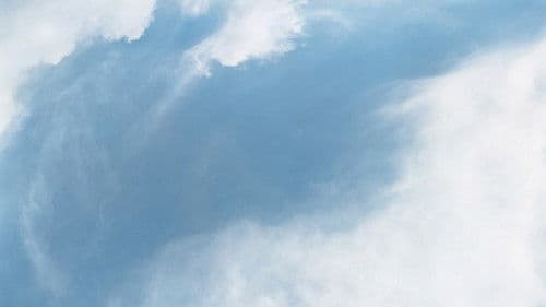 Fame in California Bild 2