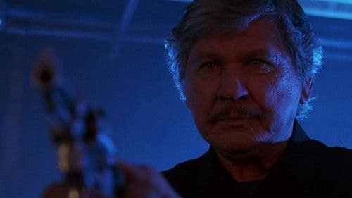Death Wish 5 - Antlitz des Todes Bild 2