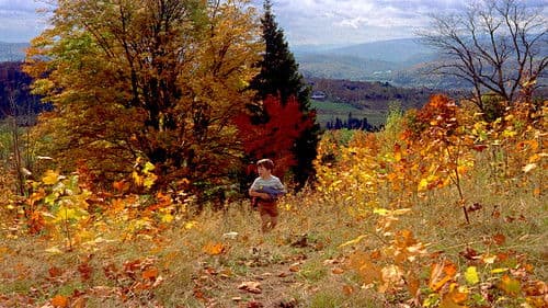 Immer Ärger mit Harry Bild 2