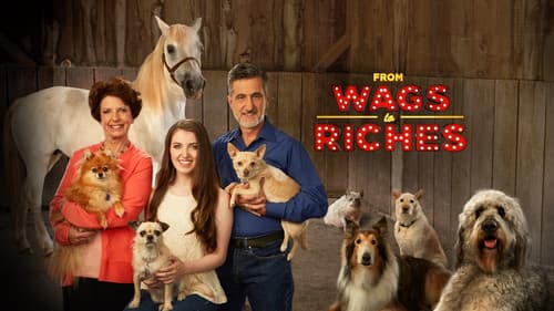 From Wags to Riches With Bill Berloni Bild 3