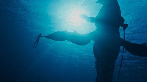 Inside Pandora's Box Bild 2