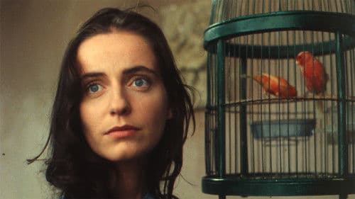 Am Ufer des Flusses Bild 3