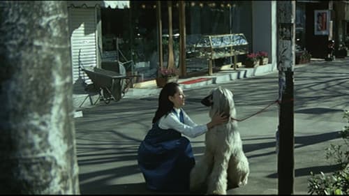 十代　－恵子の場合－ Bild 4