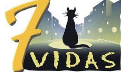 7 vidas Bild 2