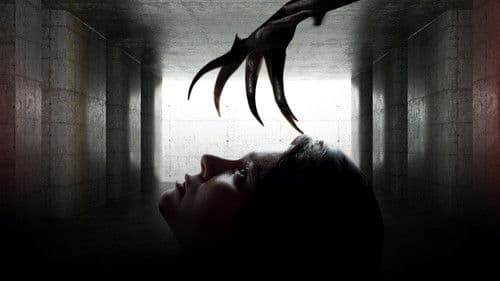 Bring Me a Dream Bild 2